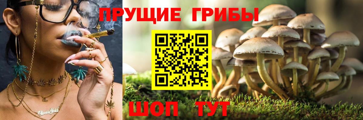 Галлюциногенные грибы мицелий Ликино-Дулёво